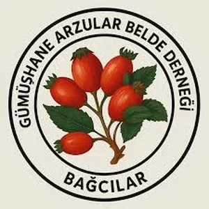 Arzular Beldesi logosu