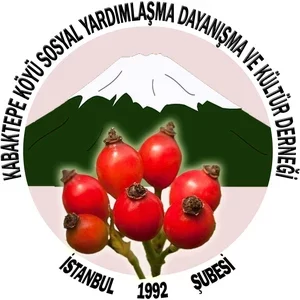 Kabaktepe logosu